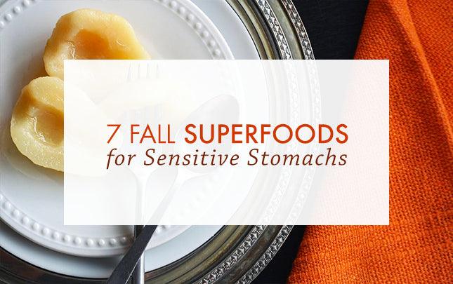 7 Fall Superfoods for Sensitive Stomachs | Vital Plan