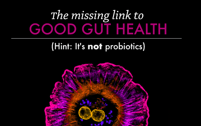 The Missing Link to Good Gut Health (Hint: It's Not Probiotics!) | Vital Plan