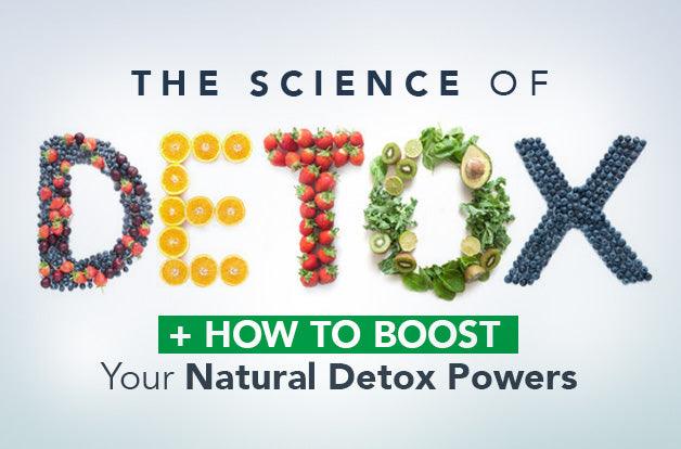 The Science of Detoxification + How to Boost Your Natural Detox Powers
