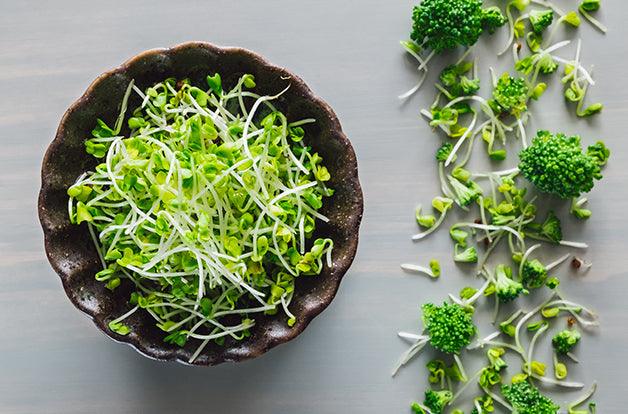 Broccoli Sprouts with Florets on Grey Table