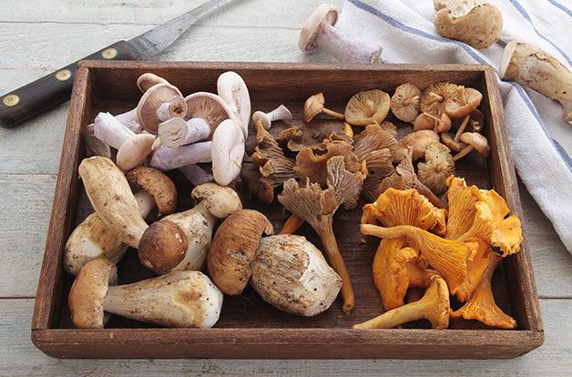 wild mushroom selection in wooden box