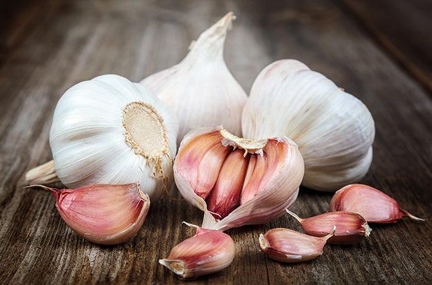 Fresh garlic on a wooden background.